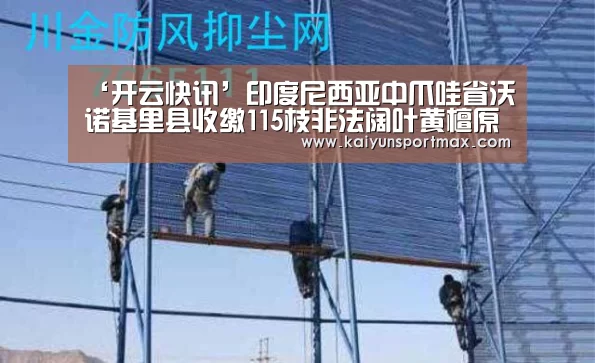‘开云快讯’印度尼西亚中爪哇省沃诺基里县收缴115枝非法阔叶黄檀原木(图1) 开云聚合