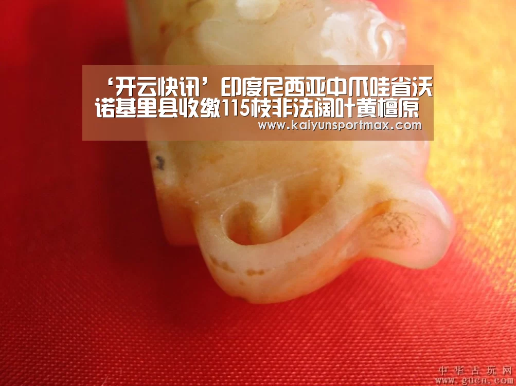 ‘开云快讯’印度尼西亚中爪哇省沃诺基里县收缴115枝非法阔叶黄檀原木(图3) 开云快讯