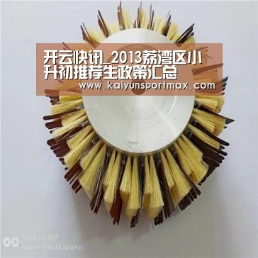 开云快讯_2013荔湾区小升初推荐生政策汇总(图2) 开云快讯