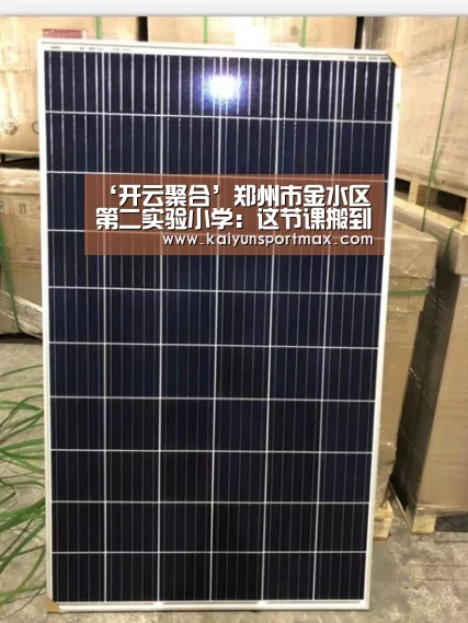 ‘开云聚合’郑州市金水区第二实验小学：这