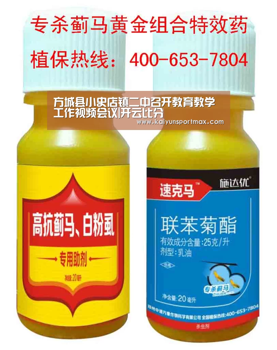 方城县小史店镇二中召开教育教学工作视频会议|开云比分(图1) 开云聚合
